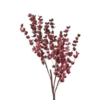 Κλαδί με λουλούδια διακοσμητικό μπορντό