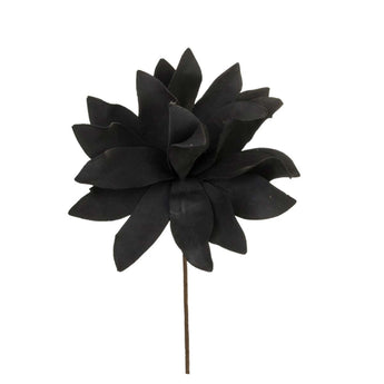 Λουλούδι διακοσμητικό μαύρο