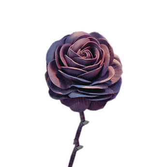 Λουλούδι τριαντάφυλλο διακοσμητικό καφέ