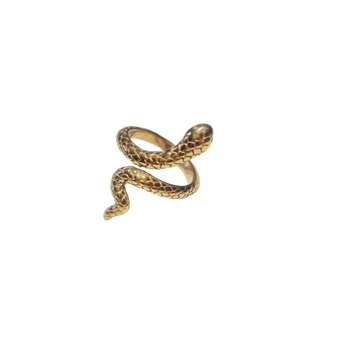 Δαχτυλίδι σε χρυσό χρώμα σχέδιο φίδι